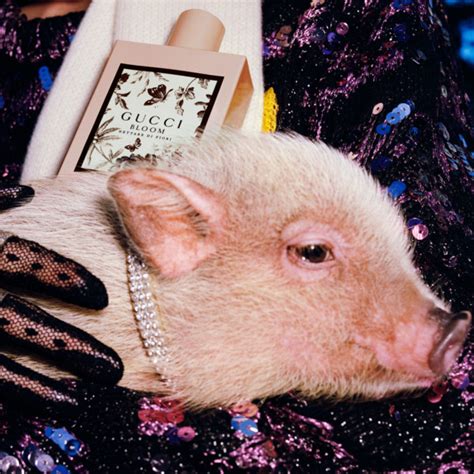 gucci collaborations with disney pig|Gucci flying pig.